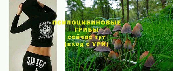 эйфоретик Карпинск