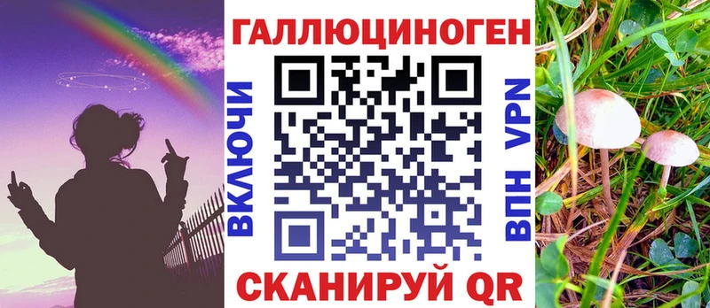 Купить где  Коркино  Галлюциногенные грибы мицелий 
